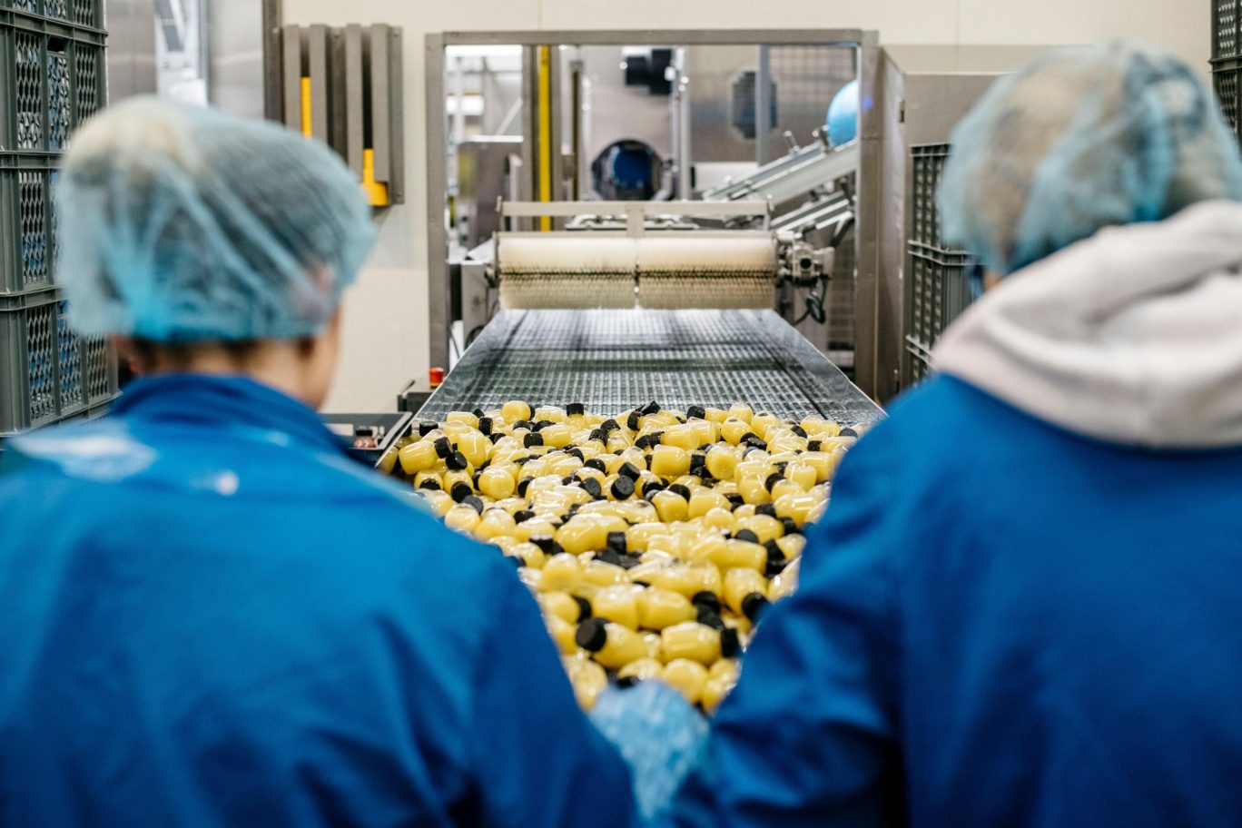 gilde-equity-management-fruityline-1